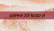 我国有十大阶层组织吗