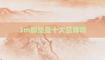 3m脚垫是十大品牌吗