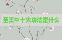 圣王中十大功法是什么