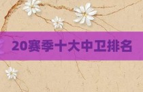20赛季十大中卫排名
