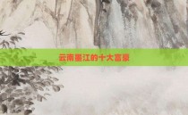 云南墨江的十大富豪