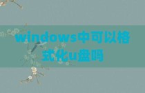 windows中可以格式化u盘吗