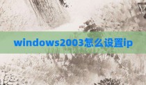 windows2003怎么设置ip