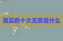 现实的十大无奈是什么