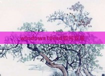 windows10esd如何安装