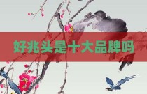 好兆头是十大品牌吗