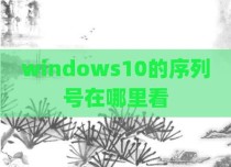 windows10的序列号在哪里看