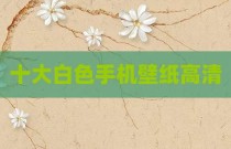 十大白色手机壁纸高清