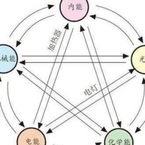 人类为什么很少吃食肉动物？背后是能量、口感和安全的三重选择