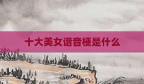 十大美女谐音梗是什么