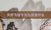 天外飞仙十大九灵是什么