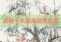 成都十大骗局融资公司