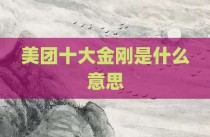 美团十大金刚是什么意思
