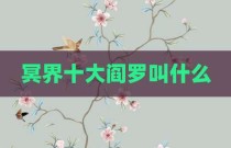 冥界十大阎罗叫什么