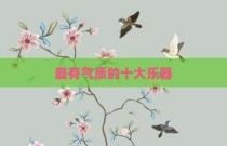 最有气质的十大乐器