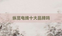纵览电线十大品牌吗