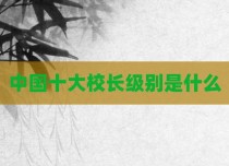 中国十大校长级别是什么