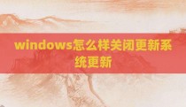 windows怎么样关闭更新系统更新