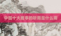 中国十大雅事的听雨是什么雨