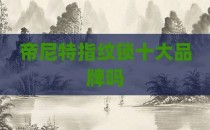 帝尼特指纹锁十大品牌吗