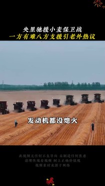 中国人怎样跟老天抢粮？襄阳小麦抢收背后的团结力量