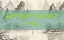 品仕电锤十大品牌之一吗