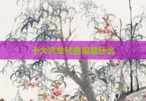 十大汽车代名词是什么