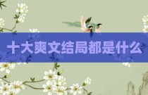 十大爽文结局都是什么