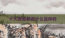 十大香型都有什么品种的