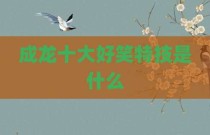 成龙十大好笑特技是什么