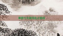 单招十大类河北上机吗