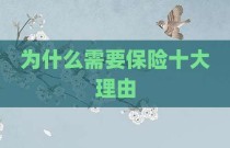 为什么需要保险十大理由