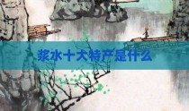 浆水十大特产是什么