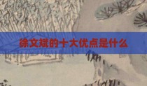 徐文斌的十大优点是什么
