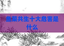 鱼菜共生十大危害是什么