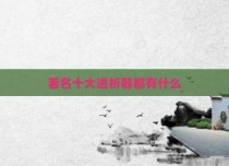 著名十大透析器都有什么
