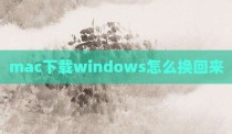 mac下载windows怎么换回来