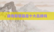 瑞奇取暖器是十大品牌吗
