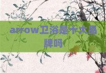 arrow卫浴是十大品牌吗