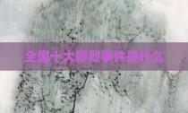 全国十大惨烈事件是什么