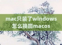 mac只装了windows怎么换回macos