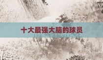十大最强大脑的球员