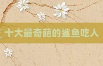 十大最奇葩的鲨鱼吃人