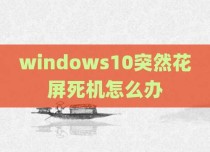 windows10突然花屏死机怎么办