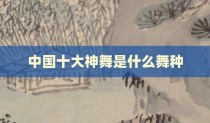 中国十大神舞是什么舞种