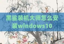 黑鲨装机大师怎么安装windows10