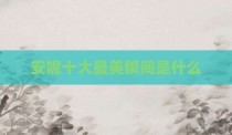 安妮十大最美瞬间是什么