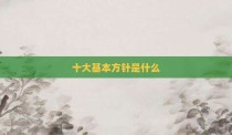 十大基本方针是什么