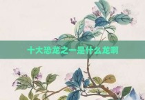 十大恐龙之一是什么龙啊
