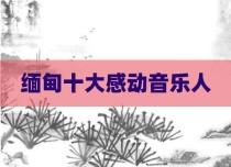 缅甸十大感动音乐人